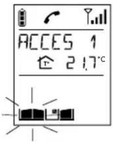 DAITEM SC100AF - En communication - 2