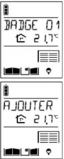 DAITEM SC100AF - Modification des options des badges - 3