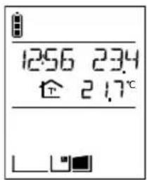 DAITEM SC100AF - En communication - 3