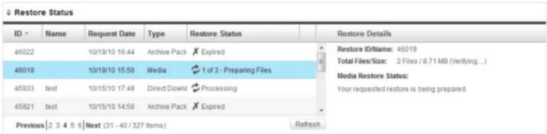 AVAST BackUp - Viewing the status of your restore - 1