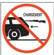 Stoeger X50 - NE JAMAIS GRIMPER SUR UN ARBRE, SAUTER DES PALISSADES ET DES FOSSES AVEC UNE CARABINE À AIR COMPRIME CHARGÉE. - 2