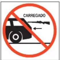 Stoeger X20 - NUNCA TRANSPORTAR UMA CARABINA DE AR COMPRIMIDO CARREGADA. - 1