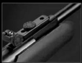 Stoeger X10 - 1
