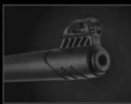 Stoeger X10 - 3