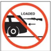 Stoeger X10 - NEVER TRANSPORT A LOADED AIRGUN. - 1