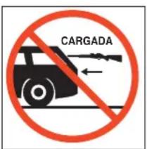 Stoeger X10 - NO SUBA A LOS ÁRBOLES NI SALTE CERCAS O ZANJAS CON UNA ESCOPE-TA DE AIRE COMPRIMIDO CARGADA. - 2