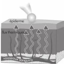 TORM T03 - Principé de fonctionnement du thermomètre temporal - 1