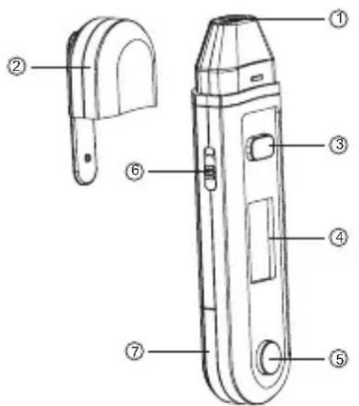 TORM SC01 - Description - 1