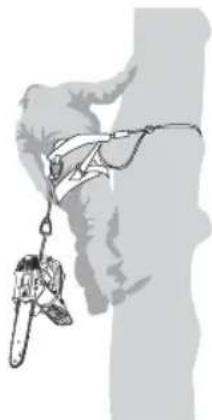 MAC ALLISTER MCSP25 - Utilisation d'une tronçonneuse dans un arbre avec un harnais et des cordes - 2