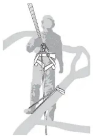 MAC ALLISTER MCSP25 - Utilisation d'une tronçonneuse dans un arbre avec un harnais et des cordes - 2