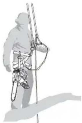 MAC ALLISTER MCSP25 - Utilisation d'une tronçonneuse dans un arbre avec un harnais et des cordes - 1