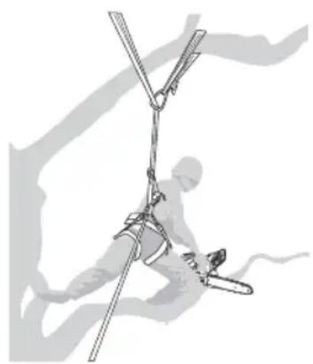 MAC ALLISTER MCSP25 - Utilisation d'une tronçonneuse dans un arbre avec un harnais et des cordes - 1