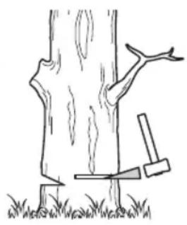 MAC ALLISTER MCSP25 - Entaille d'abattage - 2