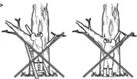 MAC ALLISTER MCSP25 - Utilisation/ coupe de base - 3