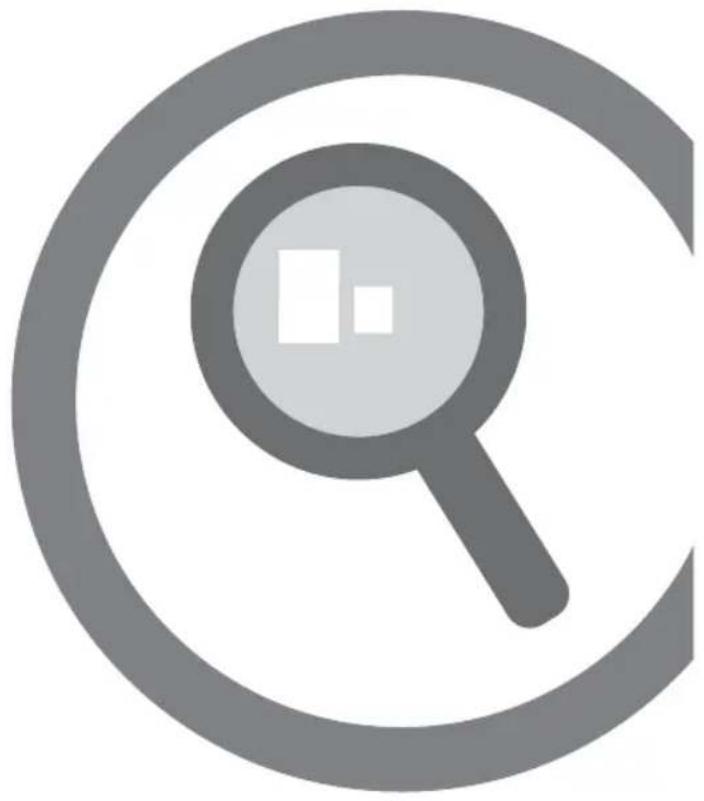 MAC ALLISTER MCSP25 - Et dans le détaill… - 1