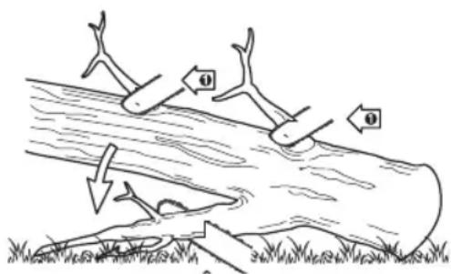 MAC ALLISTER MCSP25 - Ébranchage et élagage - 1