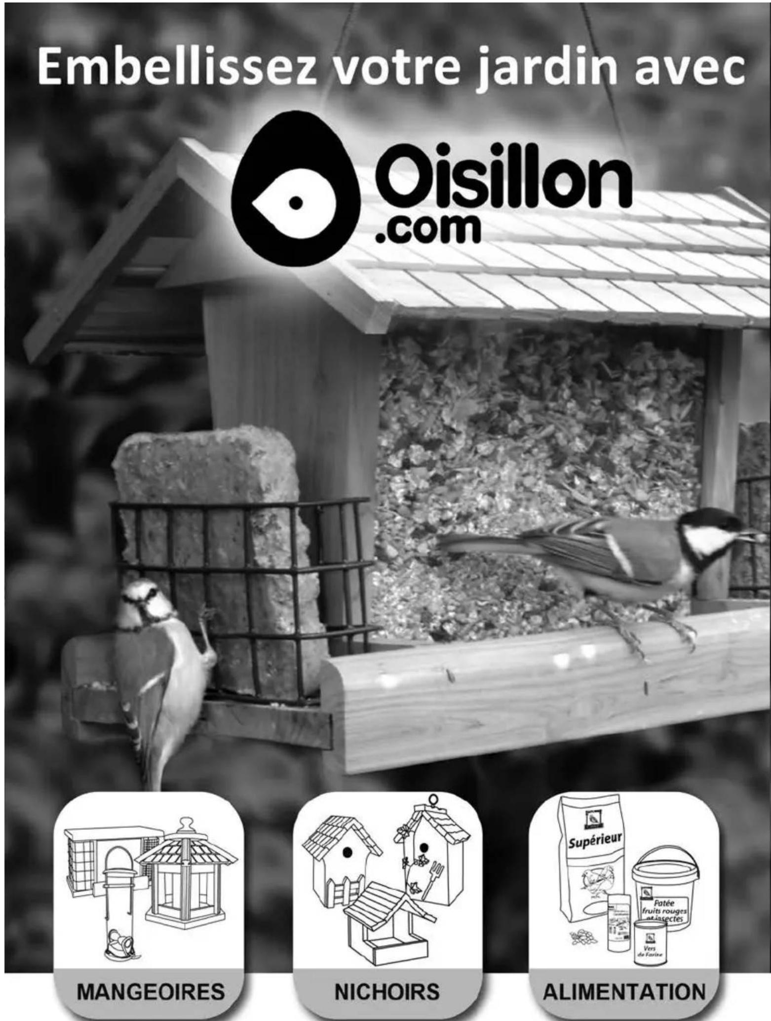 Greatland GL TRC 38 CS - Déclaration ce de conformité - 2