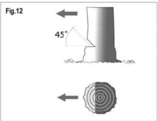 Greatland GL TRC 38 CS - 20