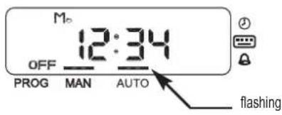 ESPA Multipool Tronic - - Automatic mode - 2