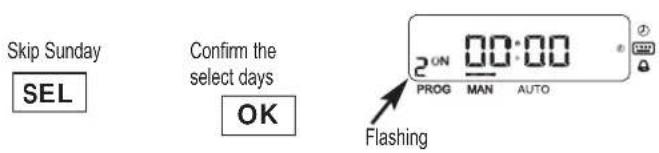 ESPA Multipool Tronic - - Programming the automatic programmes - 12