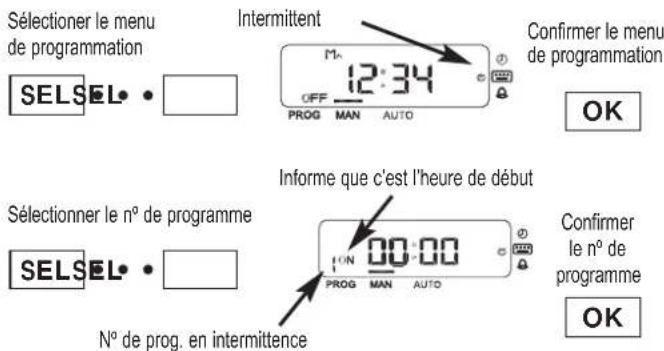 ESPA Multipool Plus - - Programmation des programmes automatiques - 1