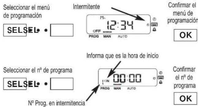 ESPA Multipool Plus - - Programación de los programas automáticos - 1