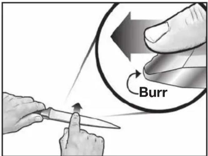 Burr