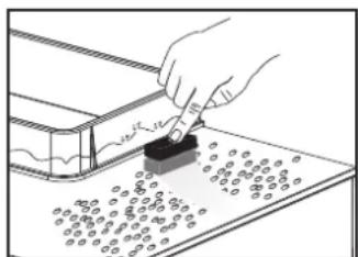 Fluval Edge - DEKORATION, ZUGABEVON WASSER   UND BEWOHNERN IN IHREM EDGE - 2