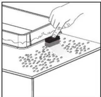 Fluval Edge - Décoration et ajout de l'eau ou d'organismes aquatiques - 2