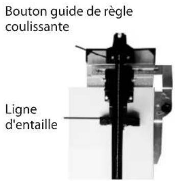 KINZO 29604 - Faire la coupe - 2