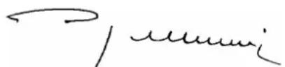 ATIKA ST 300 - EC Declaration of Conformity - 1