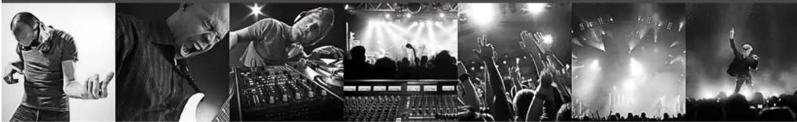 BEHRINGER VS1220F - 1