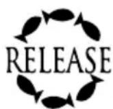 SHIMANO Charter SPECIAL 1000LD - SHIMANO CARES - 2