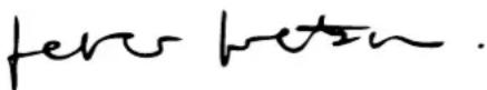VIKING GE 250 S - 1