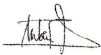 Eliet Major 4S - « EN13683/2003 + A2:2011 : Matériel de jardinage - Broyeurs/déchiqueteurs à moteur à combustion interne-Sécurité » - 1