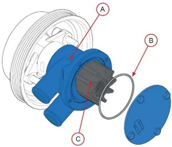 Nanni V6.320 - Replacing the seawater pump rotor - 1