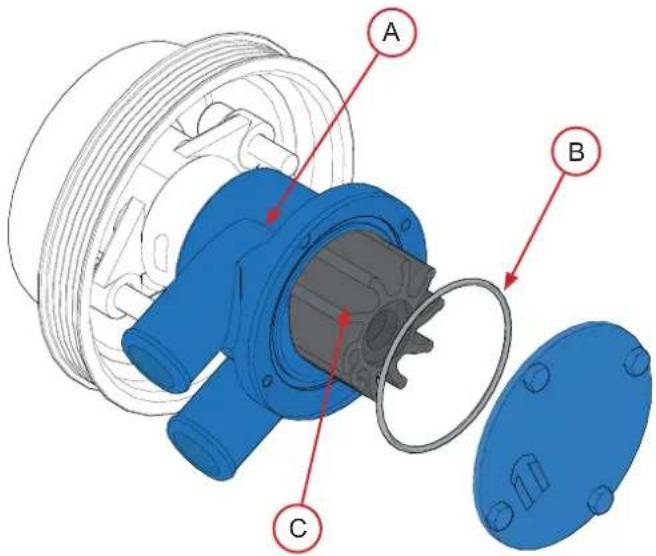 Nanni V6.270 - Remplacement du rotor de la pompe à eau de mer - 1