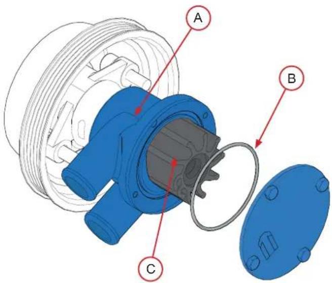 Nanni V6.200 - Replacing the seawater pump rotor - 1