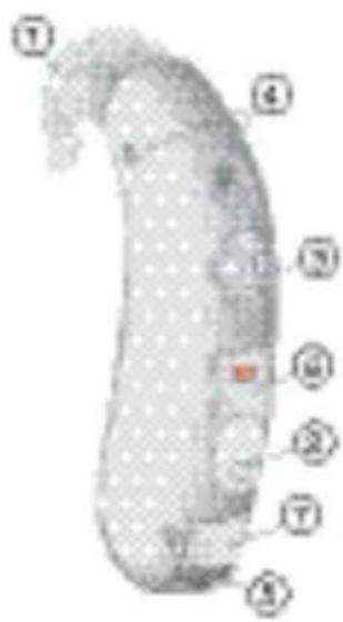SIEMENS Lotus BTE - S/M/DM S VC/ M VC/ DM VC MX - 1