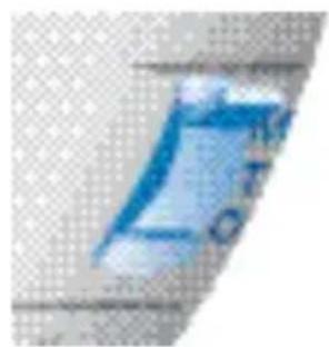 SIEMENS Lotus BTE - Via MTO switch - 1