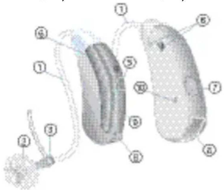 SIEMENS Lotus BTE - Your BTE hearing instruments - 4