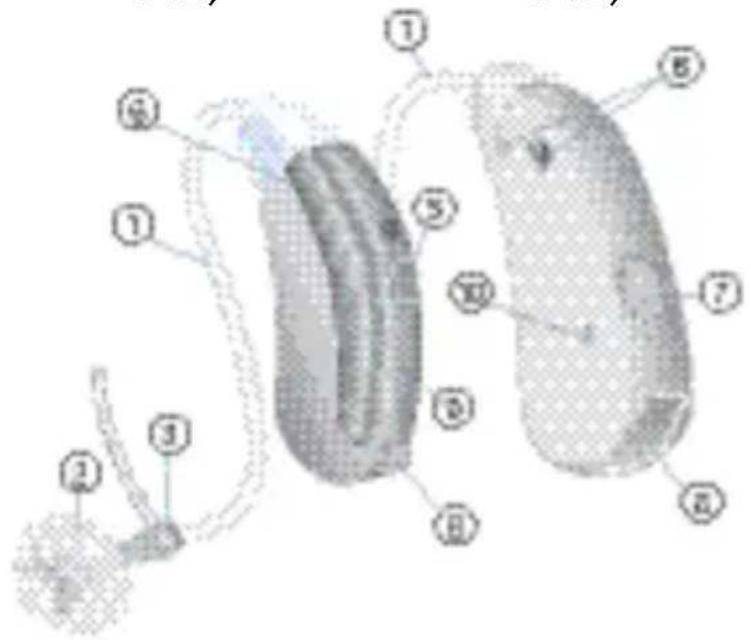 SIEMENS Lotus BTE - Apparecchi acustici BTE - 4