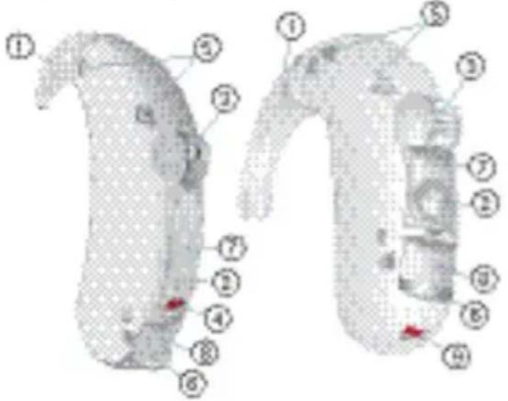 SIEMENS Lotus BTE - optional mit S-LifeTube - 1
