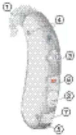 SIEMENS Lotus BTE - P/HP/DP SP - 2