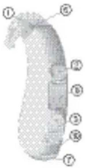 SIEMENS Lotus BTE - P SP Phoenix - 1