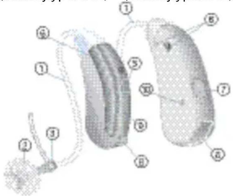 SIEMENS Lotus BTE - UwBTE-hoortoestellen - 4