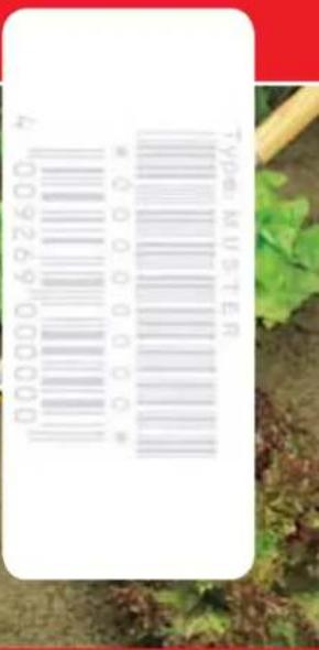 Wolf Garten SDE 2500 - Veiligheidsvergrendeling - 3