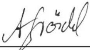 Grizzly EGH 20006 - Elektrische verilgheit - 1