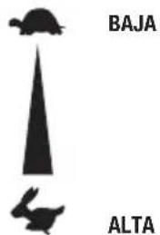 GARLAND Chipper 790 G - Arranque en frío: - 3