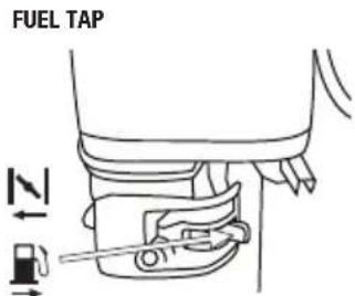 GARLAND Chipper 790 G - Cold engine start: - 1